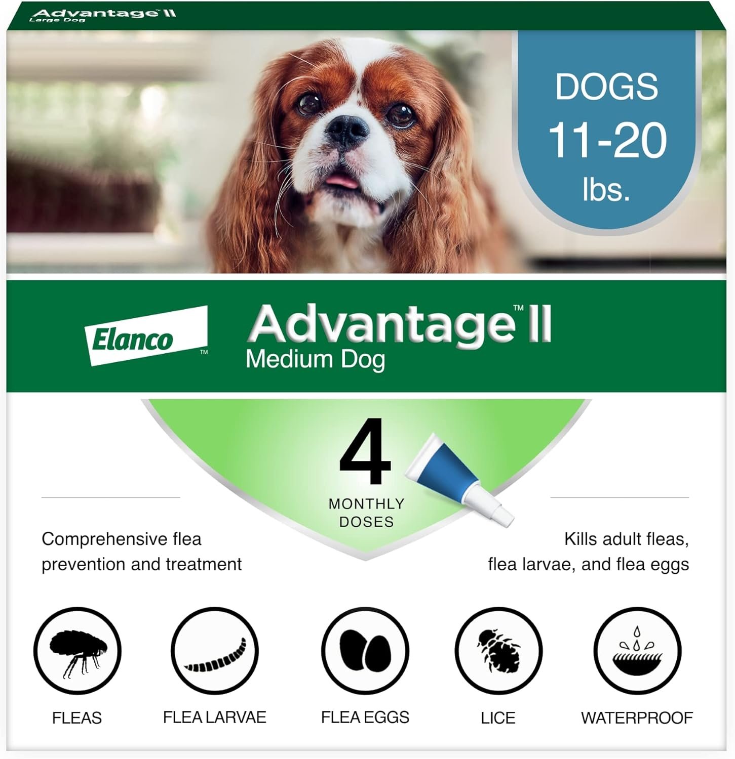 Dog Flea Treatment by Advantage